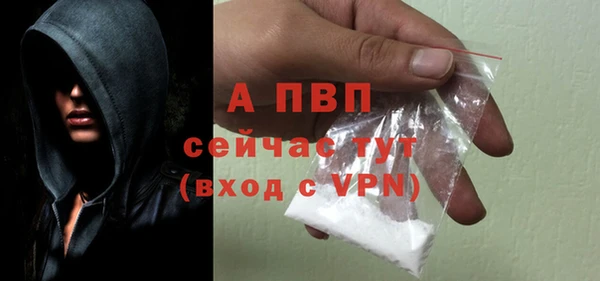стафф Алексин