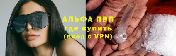 стафф Алексин