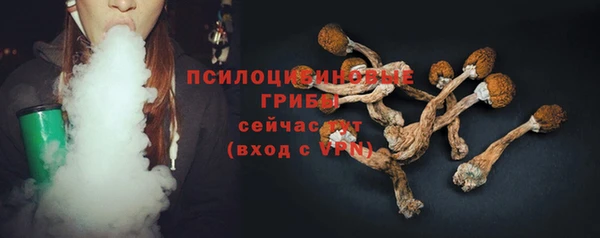 индика Абаза