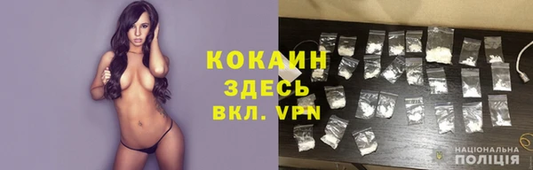 гашик Алексеевка