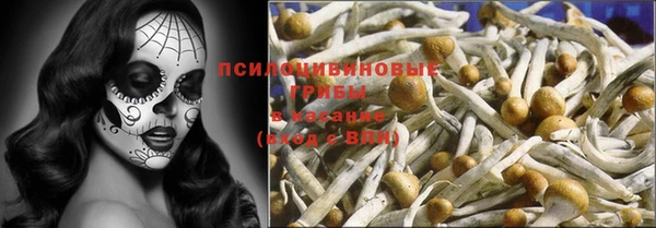 гидра Алзамай