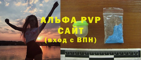 стафф Алексин